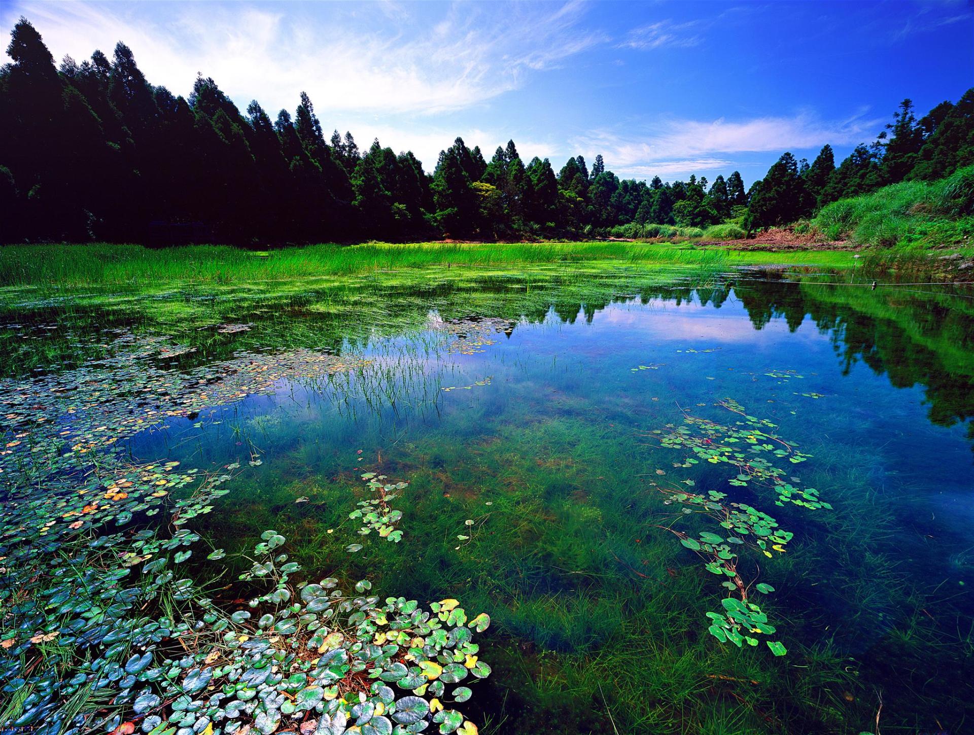 양밍산 국가공원3-공시홈페이지.jpg