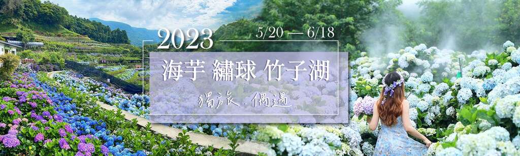 2023 주쯔후 수국 페스티벌(竹子湖繡球花季).jpg