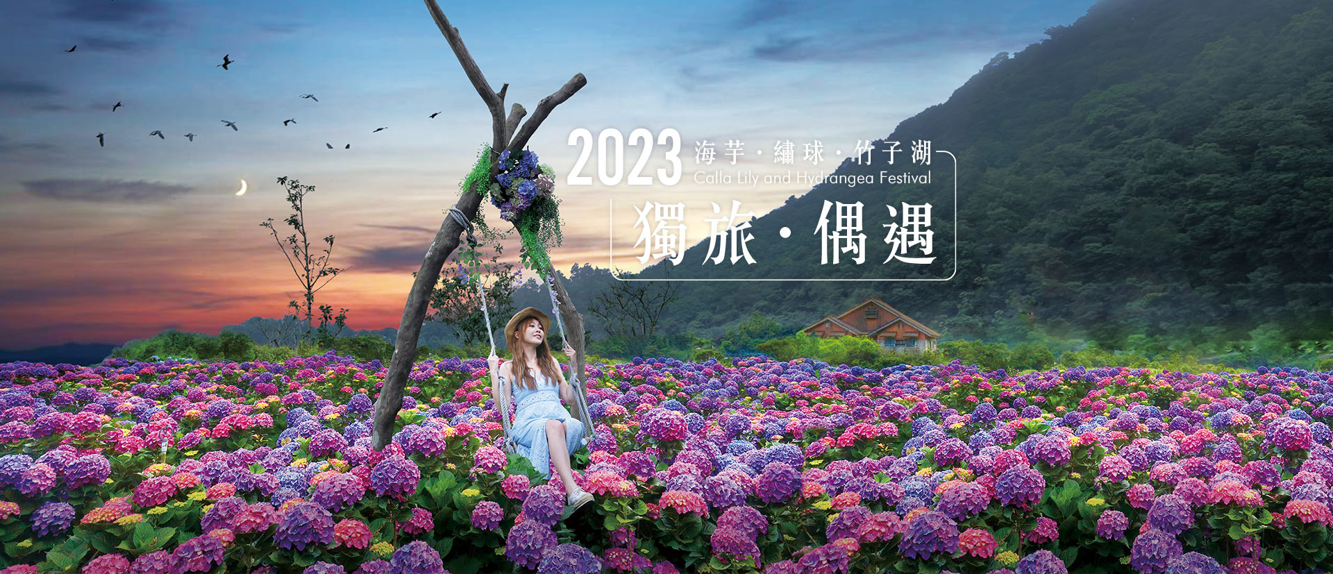 2023 주쯔후 수국 페스티벌(竹子湖繡球花季) (8).jpg
