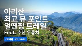 [4K] 대만 산 경치 끝판왕 아리산 얼옌핑 트레일! 1,400미터 하늘마을과 녹차밭 힐링하세요!(二延平步道, 阿里山) 2023.02